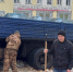 В Твери грузовик провалился по кузов в перекопанном месте дороги - ТИА