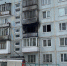 Жизнь пострадавшего на пожаре кота Оскара бескорыстно спасают ветеринары Твери - Афанасий-биржа
