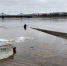 половодье.rLAKj - TverWeek.Com