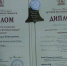 Диплом Майер - Управление образования