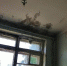 Бологовскую ЦРБ оштрафовали на 10 тысяч рублей за нарушения санитарных норм в инфекционном отделении - Афанасий-биржа