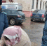 От страха потерять свой Hyundai жительница Твери вернула более 300 тысяч рублей своему кредитору Фото: УФССП по Тверской области - Афанасий-биржа