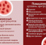 17.04.2023 | Инфографика, посвященная заболеваниям системы крови - Государственная инспекция по ветеринарии