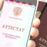 В Тверской области колледж и школа начнут выдавать цифровые аттестаты и дипломы - Газета Вся Тверь