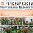 Вышел очередной номер газеты «Тверские епархиальные ведомости» - Тверская епархия