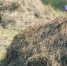 В селе Пушкино Тверской области завершили реконструкцию братского захоронения - ГТРК