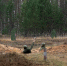 Минобороны предложило изменить требования к состоянию здоровья призывников - ТИА