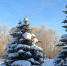 resize-image-online.com_1703167117_photo1703081056jpg_fZ091OVt - TverWeek.Com