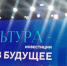 Елена Геннадьевна Марина приняла участие в пленарной сессии «Культура: инвестиции в будущее» Министерства культуры РФ - Дом народного творчества