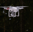 Архивное фото - ТИА