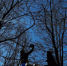 В Твери водитель оплатил 75 штрафов только после ареста своего «Рено» - ГТРК