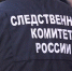Гражданина Таджикистана арестовали после переписки в двумя маленькими девочками - ТИА