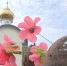 Поисковики нашли в Зубцовском округе захоронение с останками красноармейцев - ГТРК