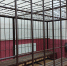 В Твери арестована группа автоподставщиков - Афанасий-биржа