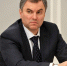 Спикер Госдумы заявил о поддержке предложения расширить условия для депортации мигрантов - Тверские ведомости