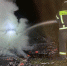 В СНТ под Торжком дотла сгорела дача - ТИА