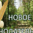 15.08.2024 | Новое в законодательстве. О борьбе с лесными вредителями - Министерство энергетики и ЖКХ