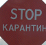 Очаг повилики обнаружен на территории Калининского округа - Афанасий-биржа