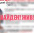 Волонтеры «Совы» объявили о завершении поисков жителя Твери в черных штанах с красно-белыми лампасами - Тверские ведомости