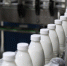 В Кашине на ярмарке продавали молочную продукцию с бактериями кишечной палочки - ТИА