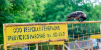 Тверская генерация - Газета Вся Тверь