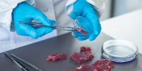 Специалистами лаборатории установлено несоответствие пищевой продукции микробиологическим нормам безопасности - Тверская МВЛ