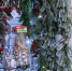 «Флора Тверь» приглашает жителей региона на новогоднюю ярмарку - ГТРК