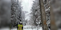 За сутки в Тверской области восстановлено электроснабжение свыше 10 тысяч человек - Комсомольская Правда