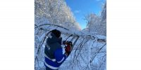 27.11.2024 | В Тверской области после завершения основного объема восстановления электроснабжения продолжаются работы по точечному подключению потребителей - Министерство энергетики и ЖКХ