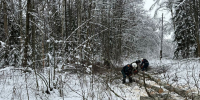 02.12.2024 | В Тверской области продолжаются работы по восстановлению электроснабжения - Правительство области