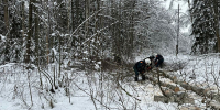 За сутки в Тверской области к электроснабжению подключили более 4 тысяч потребителей - ГТРК