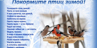 04.12.2024 | Покормите птиц зимой! - Министерство энергетики и ЖКХ