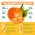 Советы по выбору мандаринов