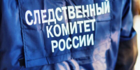В Твери арестовали педофила, который совершил насилие над девочкой прямо в поезде - PanoramaPro.Ru
