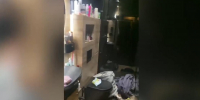 В Твери задержана за распространение порнографии участница шоу «Давай поженимся» - Афанасий-биржа