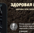 27.01.2025 | Аграрии приглашаются на Научно-практическую конференцию «Здоровая почва» - Министерство сельского хозяйства