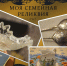 О конкурсе «Моя семейная реликвия» - Газета Вся Тверь