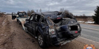 Под Рамешками в ДТП пострадала пенсионерка - Афанасий-биржа