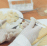 В Тверской области забраковали две тонны сливочного масла: в продукте нашли кишечную палочку - Tver24.Com