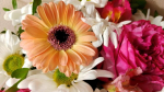 Губернатор Игорь Руденя поздравил со 100-летием труженицу тыла Антонину Филипповну Рогозину