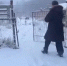 Появилось видео задержания в Тверской области женщины - организатора подпольной нарколаборатории - Афанасий-биржа