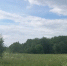 На "Яндекс картах" появится информация о заповедниках и заказниках в Тверской области - ТИА