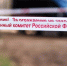 Следователем Следственного комитета проводится проверка по факту травимирования ребёнка - Следственный комитет