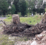 Благодаря действиям прокуратуры была ликвидирована свалка мусора в Тверской области - Тверские ведомости