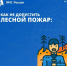 Не допусти лесной пoжар! - МЧС России