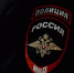 Водитель фуры купил права в интернете и попался на трассе под Тверью - ТИА