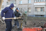 Тверичане могут принять участие в экологическом субботнике «Зеленая весна»