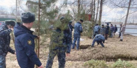 Сотрудники ИК-7 УФСИН России по Тверской области высадили молодые деревья - УФСИН
