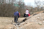В первом общегородском субботнике в Твери приняли участие более 800 горожан