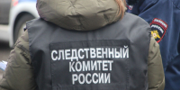После драки детей в Мамулино СК Твери возбудил уголовное дело - Афанасий-биржа